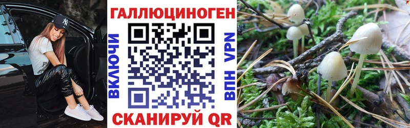 Галлюциногенные грибы прущие грибы  Дубовка 